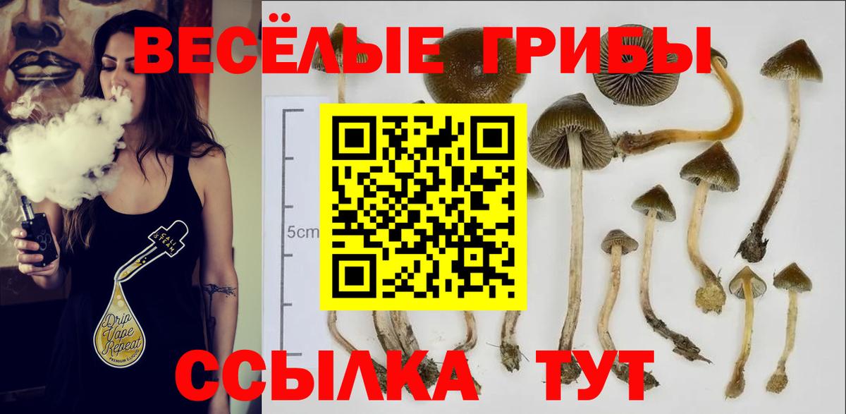 Ефремов  Псилоцибиновые грибы ЛСД  магазин продажи   Вход с VPN  Галлюциногенные грибы мухоморы 