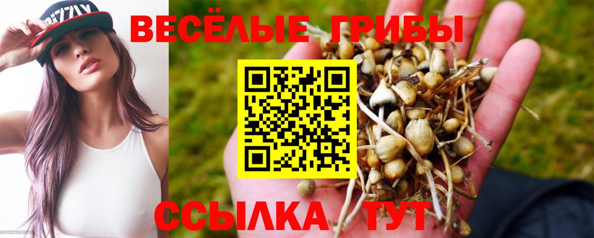 Галлюциногенные грибы прущие грибы Ефремов